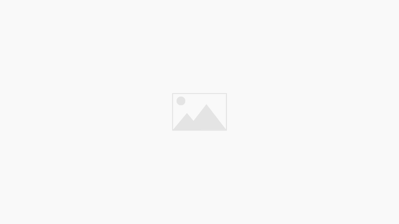 【調和の再出発】パワハラの影を払い、認め合う力で最高の未来を創る方法